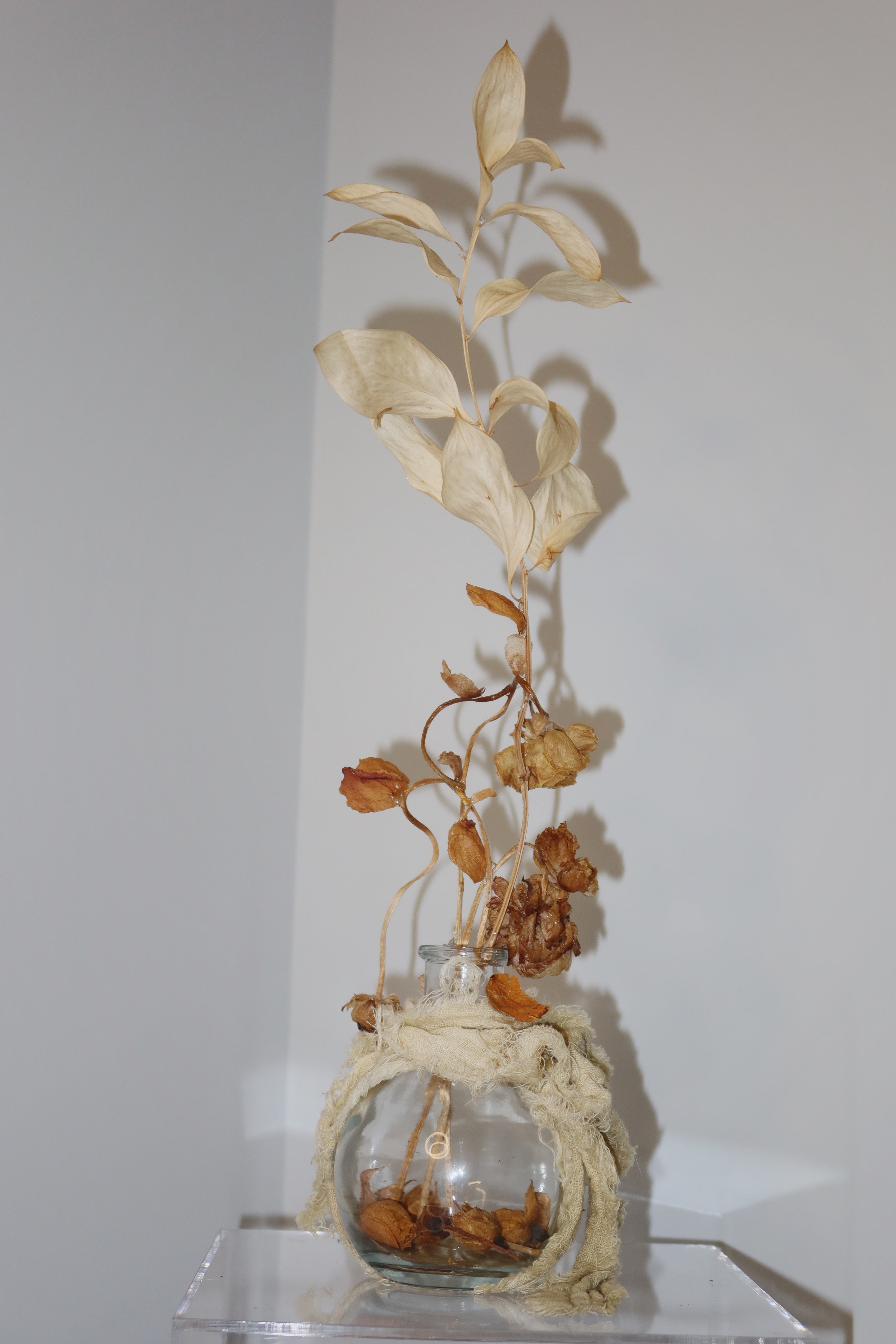Glass vase wrapped in a sage green linen, with dried flowers and leaves reaching high up. standing on a claer surface against a white background