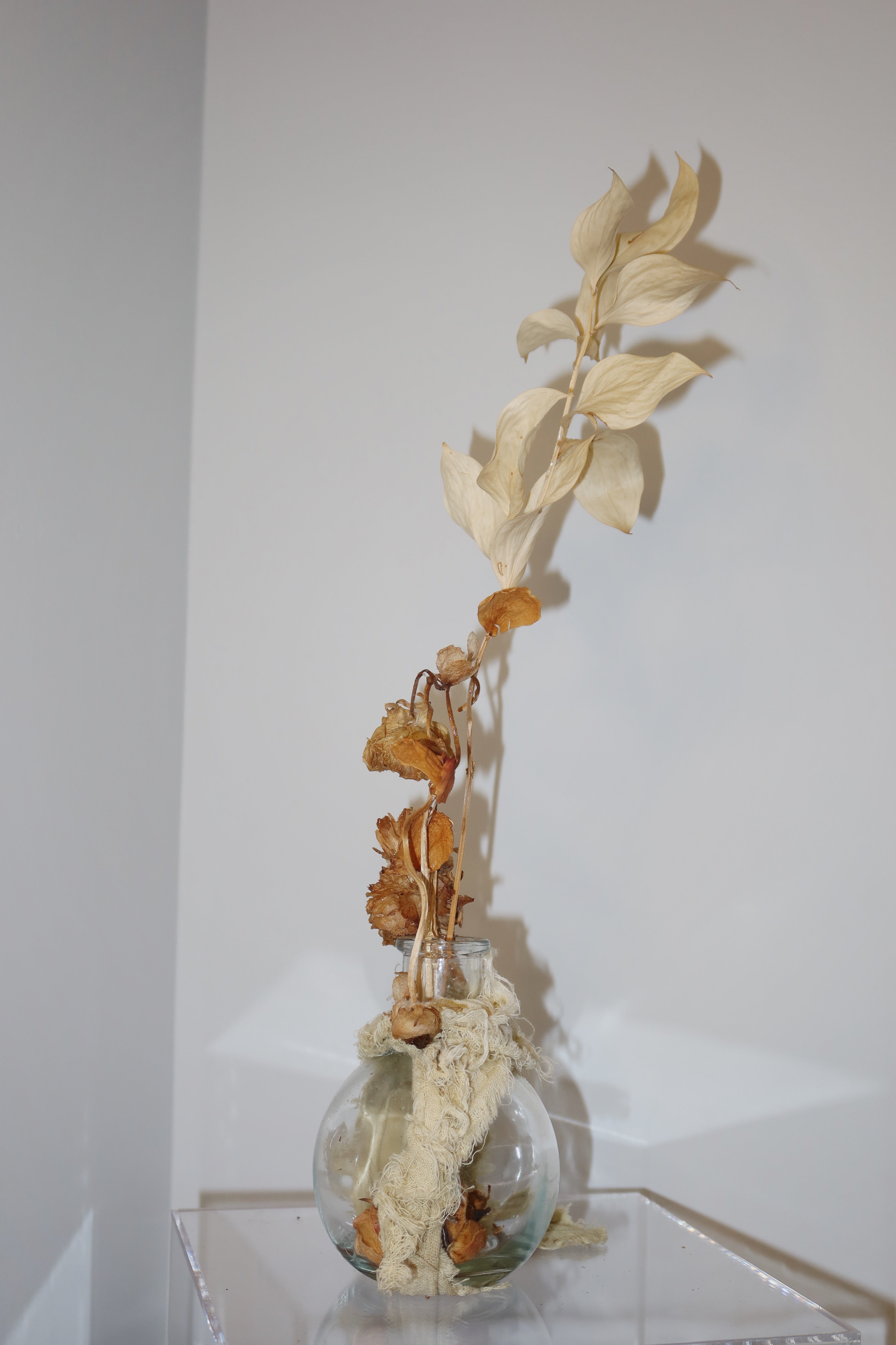 Glass vase wrapped in a sage green linen, with dried flowers and leaves reaching high up. standing on a clear surface against a white background