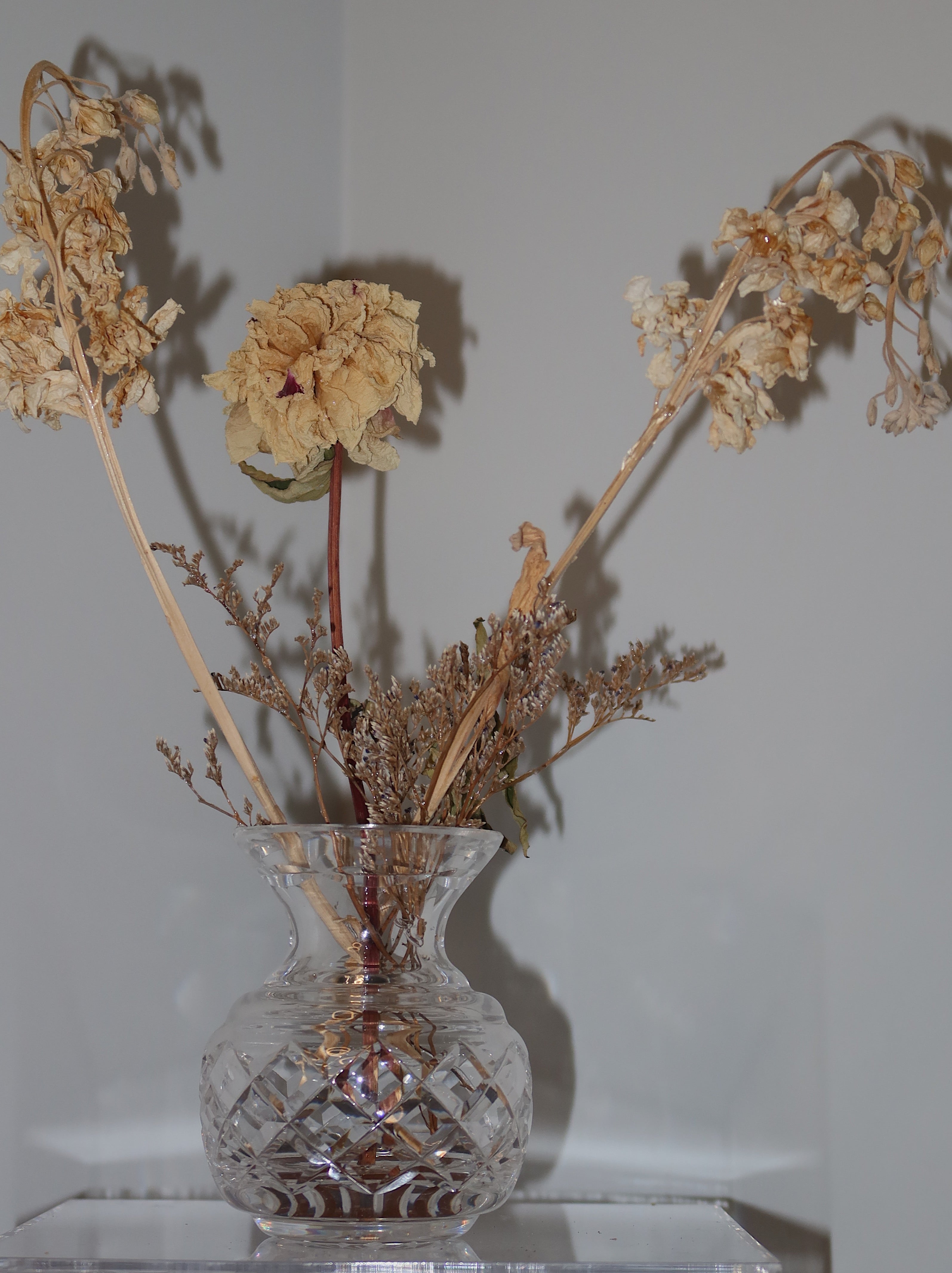 crystal vase with dried peony and other flowers on a clear surface against a white background.