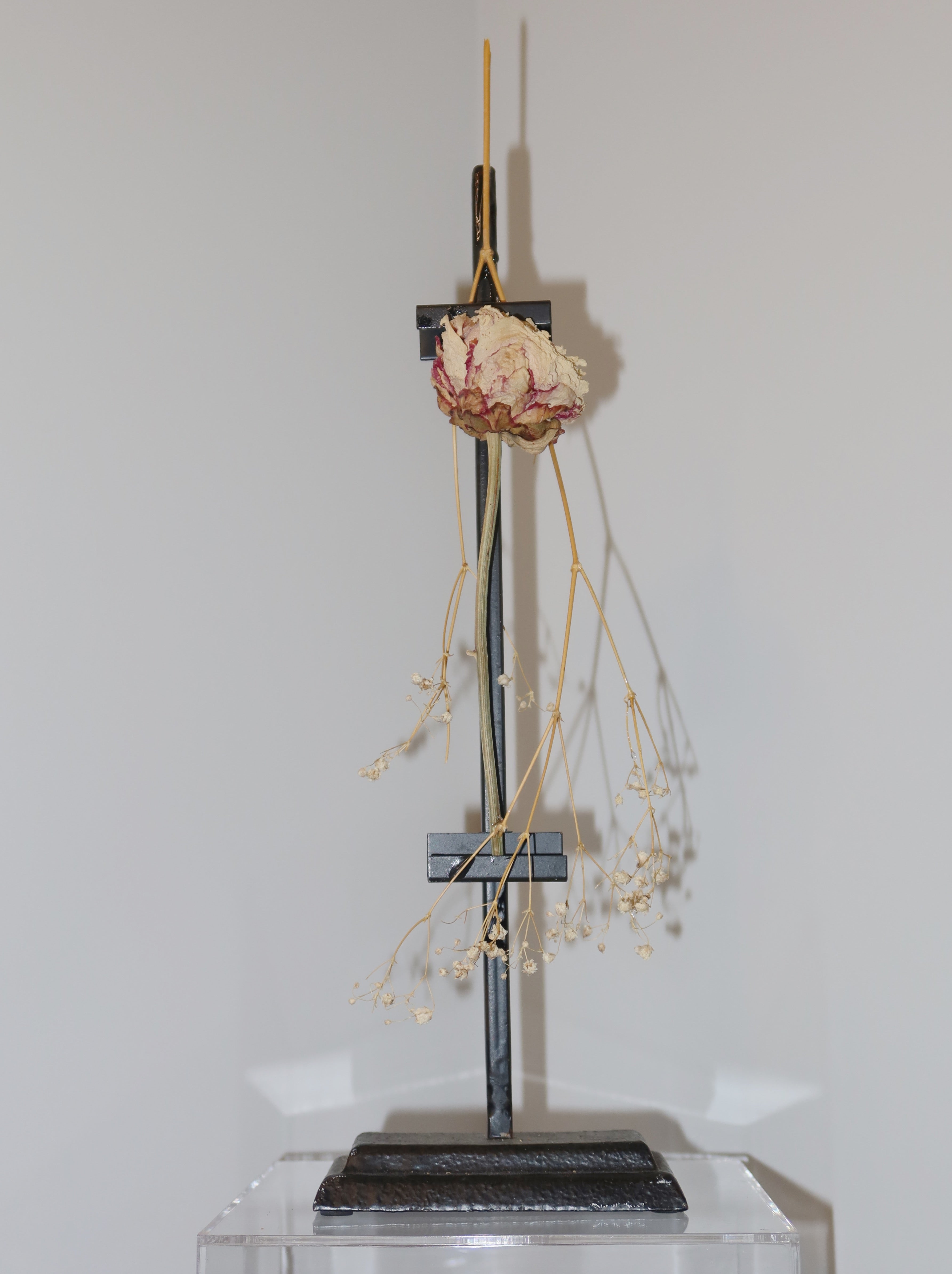 Exposed, decorative plant sculpture. A peony standing because of the metal easel supporting it, against a white background