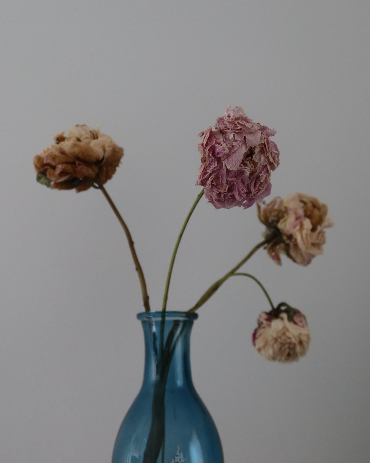 Breath of Fresh Air | Hand Engraved & Hand Painted Glass Vase | Contemporary Art Glass | One-of-a-Kind Statement Decor (Copy)