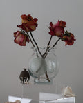 Dried pink-yellow roses