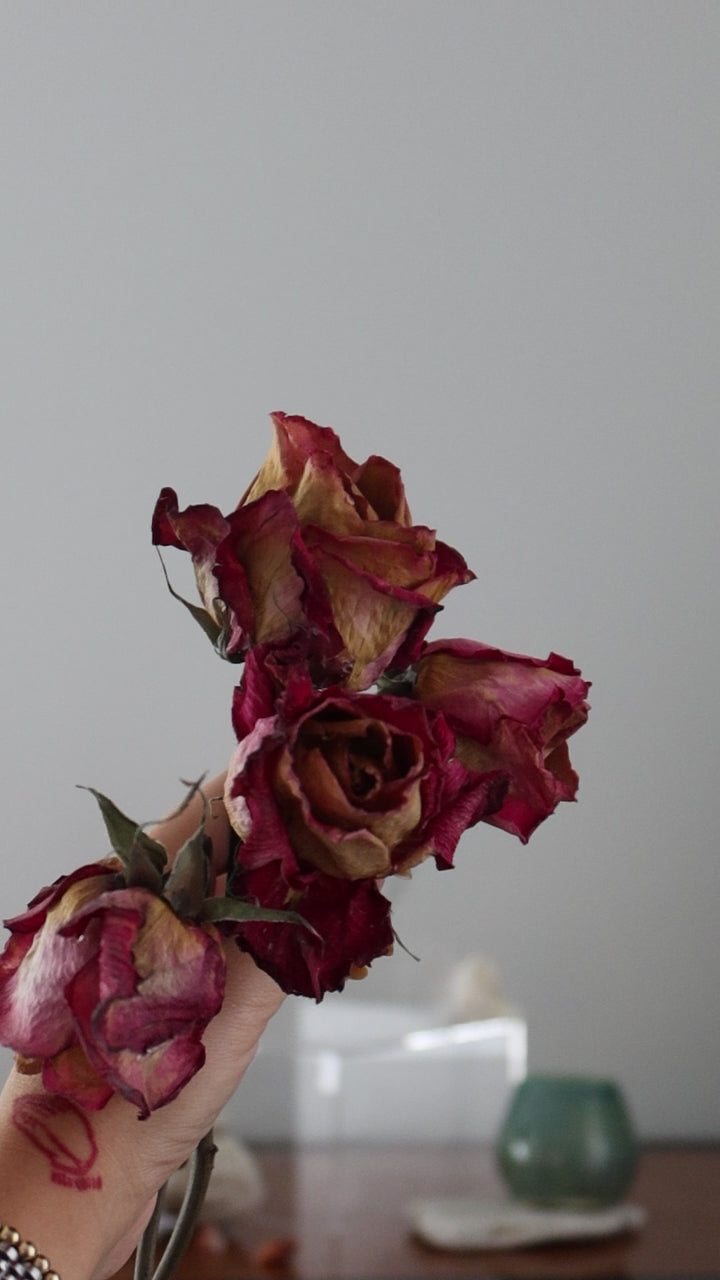 Dried pink-yellow roses